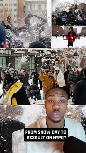 What started as a snowball fight turned into officers being hospitalized. Now the political divide is just as intense as the blizzard. #fyp#greenscreen#snowball#blizzard#blizzard