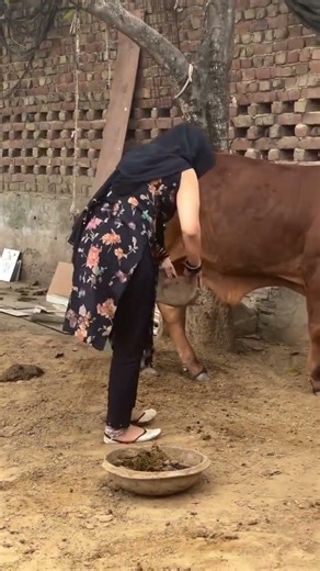 Aaja Meri Gadi Main || New Song || Haryanvi || #jaibabagorakhnathji #harharmahadev #djhit #dj #sky