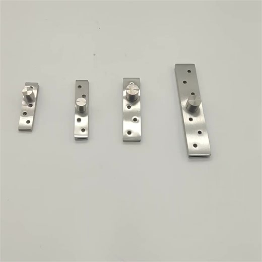 Modern Style Axis Stainless Steel Door Pivot Hinge Satin Finish for Wooden Door Rotating Design