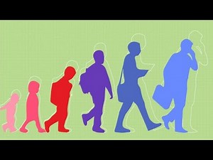 STAGES OF HUMAN DEVELOPMENT