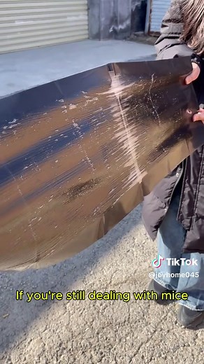 Effective Super Mouse Trap for Pest Control