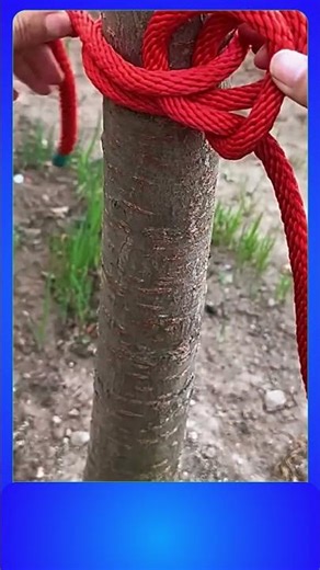 Incredible Logging Knot Method You Won’t Believe 😲 #shorts #knots #DIY
