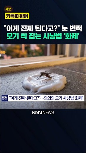 "Get rid of them with this household staple": The new viral mosquito hack / KNN