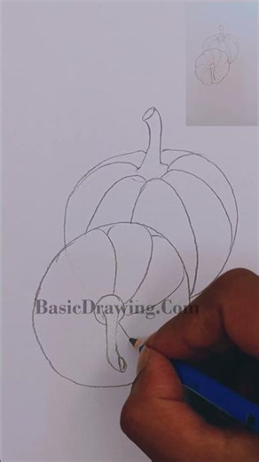 Pumpkin drawing tutorial for beginners