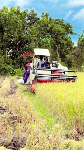 MAXXI || #combineharvester #maxxibimoterbaru #maxxibimo102standar #farming #combinepadi #automobile