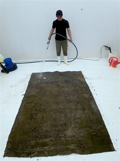 ASMR Carpet Cleaning Magic: Watch Grime Disappear!