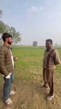 Wheat Sowing and Harvesting Technology