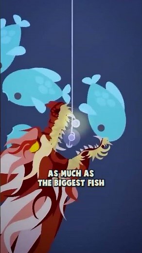 The Unexpected Most Valuable Fish in Cat Goes Fishing
