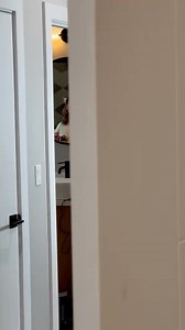 5.1K views · 92 reactions | The classic decoy dog prank. | Niquem Száraz | Facebook