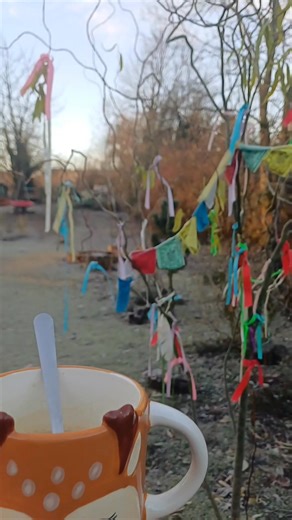 Fagyos a reggel, aranylik a fény, a kertben moccan az élet, Meleg kávém illata felszáll… és bennem is lassan helyére simul a világ... Csodás napot Nektek