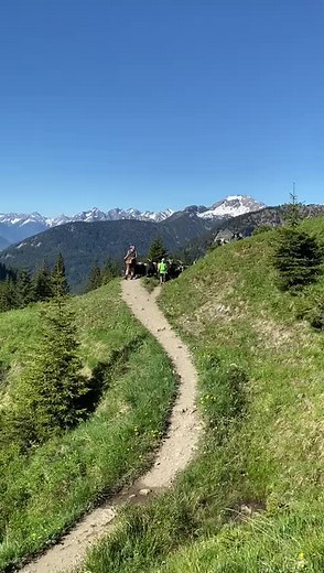 Almauftrieb zur Schneetalalm 🐂🐄🐐 #tannheimertal | Ferienregion Tannheimer Tal