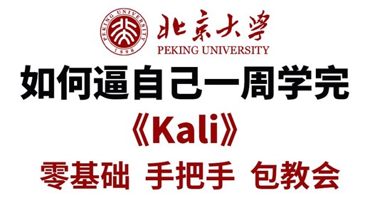 【全600集】目前B站最全最细Kali零基础全套系统教程，从基础到高级进阶彻底掌握Kali，小白到大神必看！