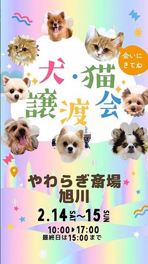 2月14日やわらぎ斎場 旭川譲渡会