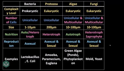 5 Kingdom Classification of Living Organisms