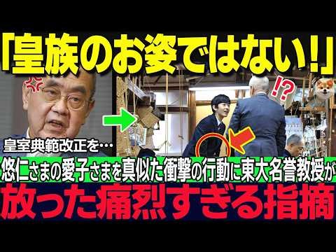 What was the astonishing "certain action" of Princess Aiko that led to Prince Hisahito's self-des...
