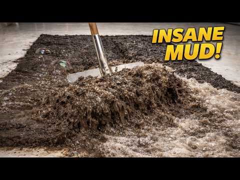 You Won’t Believe What Was Trapped Inside This Carpet 😳 | Extreme ASMR Deep Cleaning