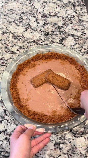 NO BAKE biscoff/nutella cheesecake!! Ingredients ⬇️ - 2 blocks of cream cheese - 3 tbsp butter - 1/4 cup of Nutella - 1/4 cup granulated sugar - pinch of salt - 1 tbsp of vanilla extract - biscoff cookies - 1/4 cup of heavy cream Step 1: -take Biscoff cookies and put them in a bag and crush them until they turn into crumbs -grind cookies and leave 2 tablespoons to the side to decorate the top Step 2: - add melted butter to the biscoff cookie mixture and blend until butter is evenly coating the c