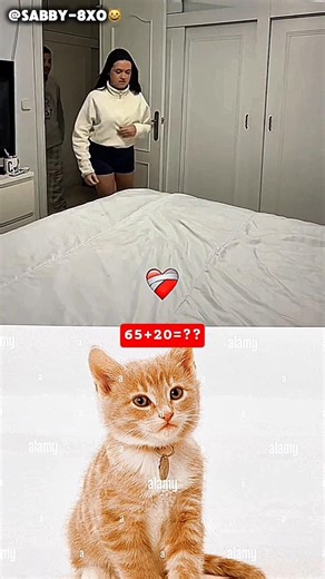 #transition #gussa #trend