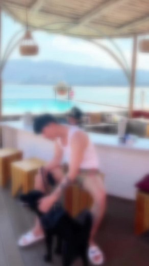 Engaging Moments with a Black Dog at the Beach