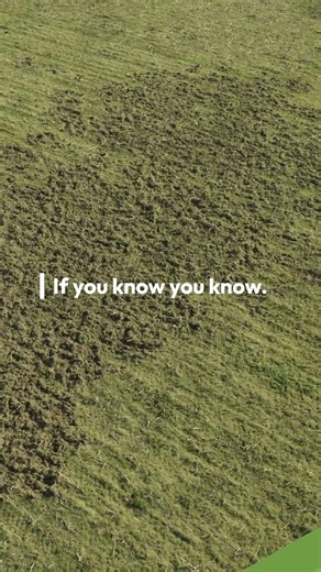 This Is What Feral Hog Damage Really Costs You