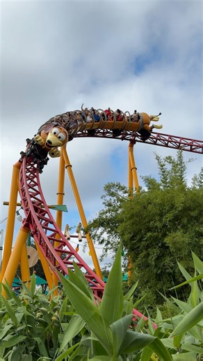 Slinky Dog Dash is one of our favorite rides at Disney’s Hollywood Studios! We didn’t ride today, but enjoyed seeing it in passing. It looks like a coaster for kids but it is really fun family attraction. #slinkydogdash #toystory #slinkydog #wdw #waltdisneyworld #toystoryland #disneyshollywoodstudio #disneycoaster #disneyrollercoaster | Mousesteps