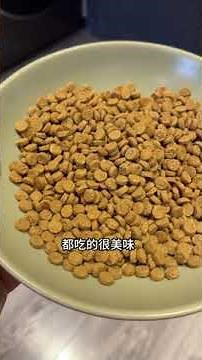 【#PuPu噗噗】当小猫咪遇到人类幼崽 #双11百大萌主 #神奇复原力在哪里 #金牌养宠家 #麦富迪霸弗 #麦富迪霸弗猫粮