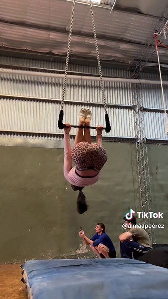 Dynamic Aerial Trapeze Dance Performance
