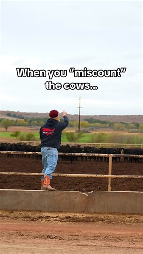 84K views · 2.1K reactions | Counting cows isn’t as easy as it seems  #farmlife #cows #countryliving | Gatlin Didier | Facebook