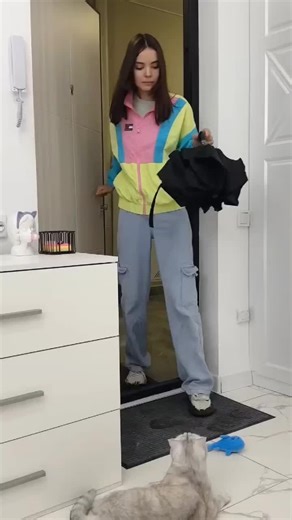 Hilarious Funny Cat Moments That Will Make You Laugh