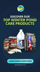 Transform your outdoor space with Webb’s! Discover top-quality pond supplies, aquatic plants, and DIY landscaping tools. Whether you're designing a cozy winter pond or creating a year-round oasis, we’ve got you covered. Start building your perfect pond today with Webb’s Online! | Webb's Water Gardens