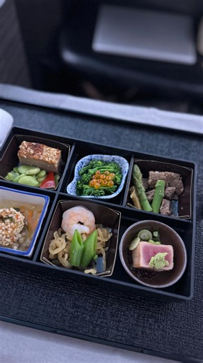 Hanna 🌸 | sydney ✨ on Instagram: "「 ✈️: JAL Sky Suite Food (SYD → HND) 🍱」 Sky-rocketed my appetite on this flight 😏 Had my first Business Class experience on the 777-300ER JAL Sky Suite, so obviously I had to try all the dishes 🤩! Here’s everything I managed to eat with my ratings: 🍱 Washoku Meal: Appetiser (8/10) 🍗 Washoku Meal: Chicken Teriyaki (6/10) 🍫 Washoku Meal: Chocolate Brownie (8/10) 🍜 À la Carte: Tonkotsu Ramen (7/10) 🍉 À la Carte: Fresh Fruit (9/10) 🍦 À la Carte: Rockstar S