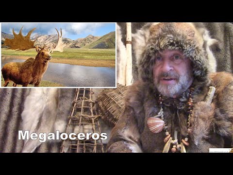 KS2 History - Stone Age Animals