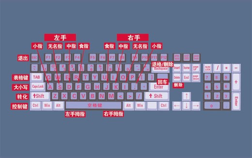 新手0基础学电脑入门视频教程，认识鼠标的基本操作，打字指法