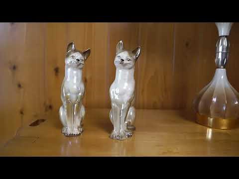 Ashley McBryde - Shut Up Sheila (Visualizer)