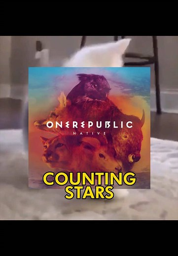 Counting Stars Cat Edit — Catcore Cover of OneRepublic
