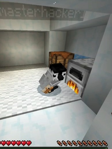 Skins únicos de Minecraft para todos los jugadores