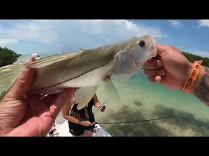 Cancun 2022 Villa Del Palmar fishing Tarpon, Snook, Jack Crevalle & Barracuda Hookup Baits