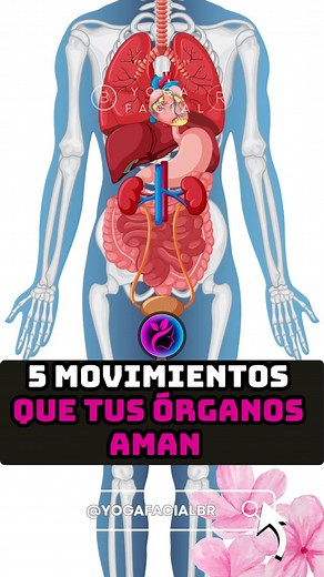 2.1M views · 32K reactions |  5 movimientos que tus órganos aman ...