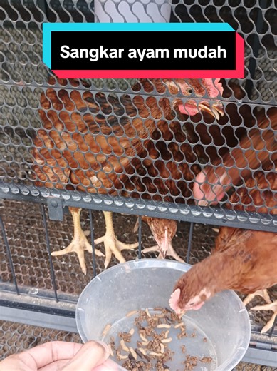Ayuh checkout cepat2..kedai ni masih ada stok untuk size besar (150×58×62 cm) dan kecik (80×58×62cm)..
