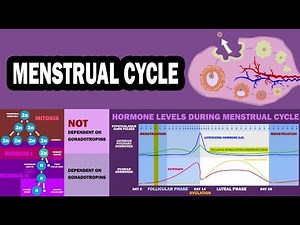 MENSTRUAL CYCLE (Ovarian Cycle, Uterine Cycle, Folliculogenesis, Oogenesis)