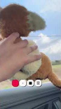 Jump jumping over cars