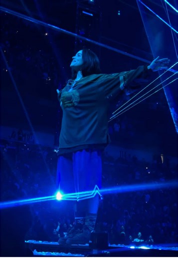 Billie Eilish Concert Experience