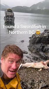 I Found a Swordfish in Northern BC?!