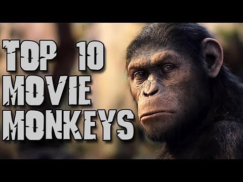 Dark Corners Top Ten Movie Monkeys