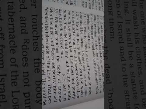 Seventh-day Adventist reads Numbers chapter 19