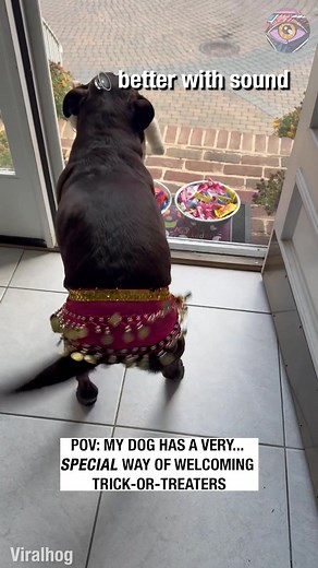 My dog's hips don't lie when she sees trick-or-treaters | 7-Second Riddles