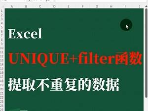 Excel的unique与filter函数提取不重复数据