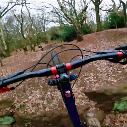 Hemlock Stone MTB - FreeRide Trail