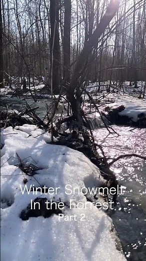 Hidden Russian Forest Stream ❄️ Snowmelt Magic (Slow-Mo)