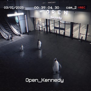 ¡El verano se congeló 🥶! Un mundo hecho de hielo te espera en Open Bajo Cero, del 11 al 19 de enero, en #OpenKennedy 🙌 ¡ENTRADA LIBERADA! | Open Plaza Chile